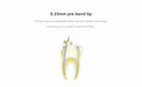 Obturation system Fi-G