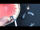 Composi-Tight® 3D Fusion™ Full Curve Matrix Bands