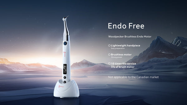 Endo Free