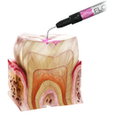 FLOW-COLOR colorful composite | ARKONA