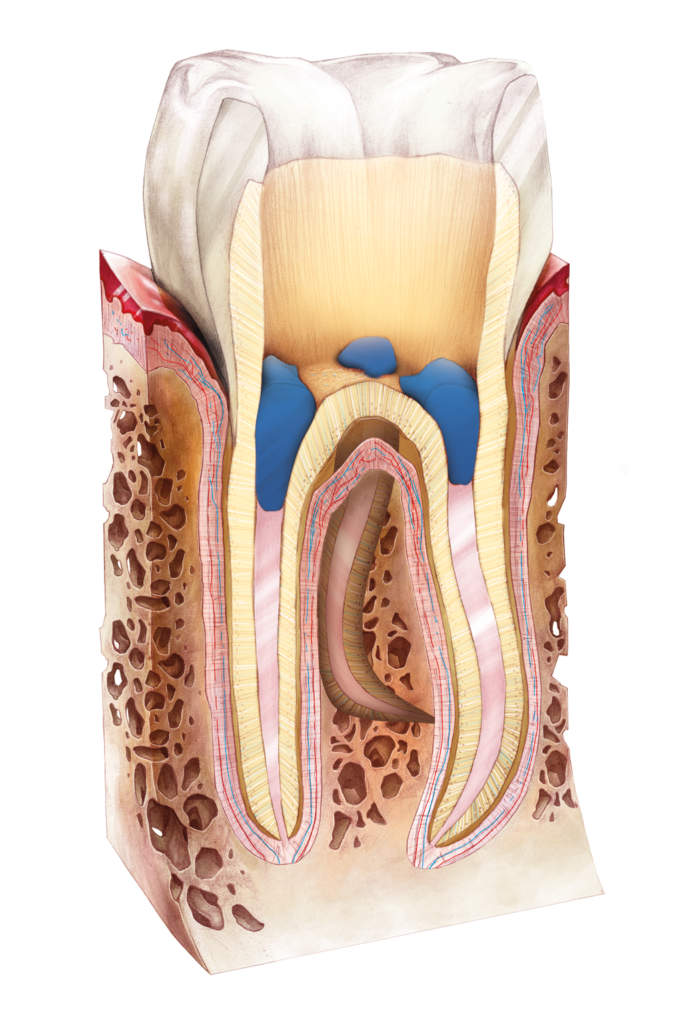 FLOW-COLOR colorful composite | ARKONA