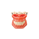 InciDental Arma hambaraviuuringu mudel
