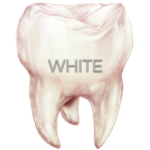 FLOW-COLOR colorful composite | ARKONA