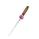 C PATH ROTARY FILE Fanta Dental