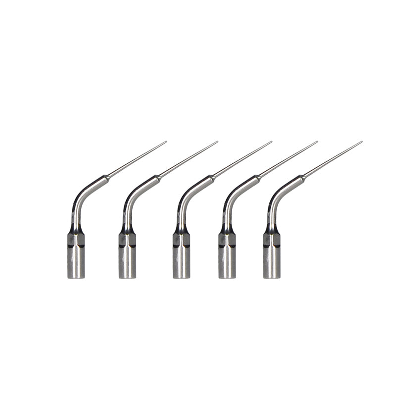 Woodpecker Silver tips for Endodontic Treatment - Dentsupply SIA