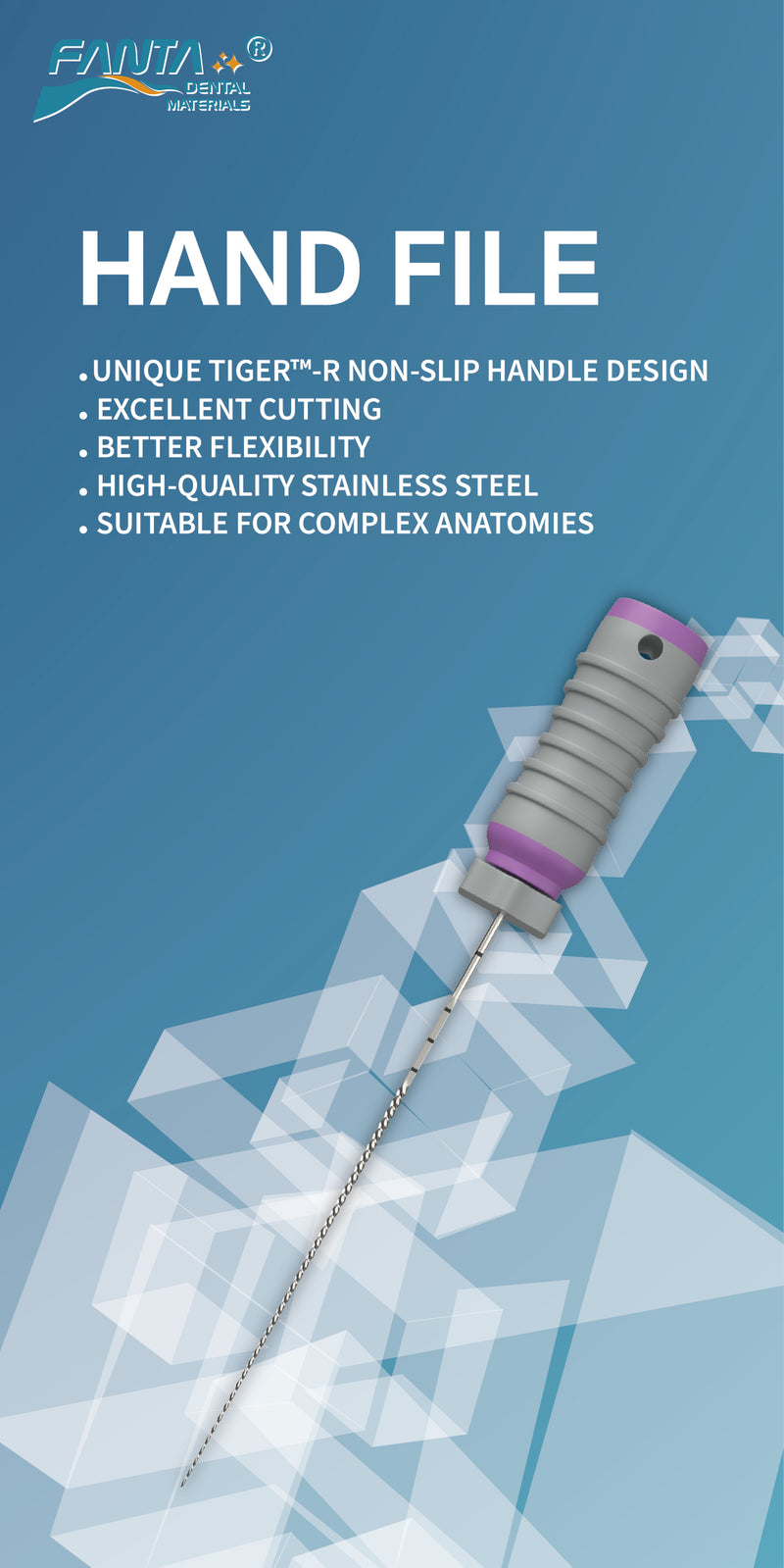 Stainless Steel K File Fanta Dental