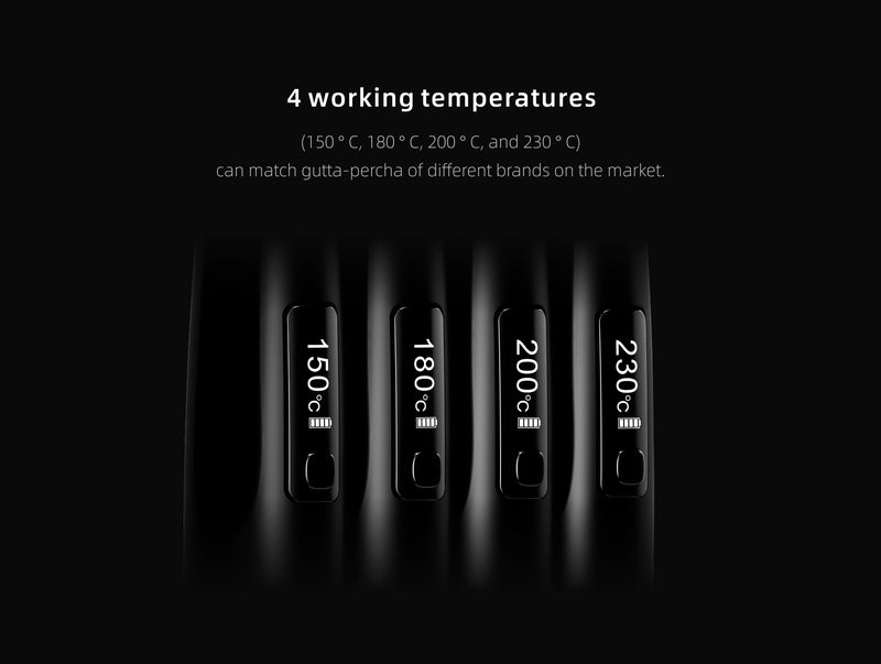 Obturation system Fi-P