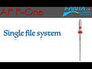 F One rotary file Single System Fanta Dental